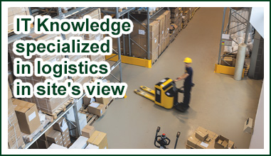 IT Knowledge specialized in logistics in site's view 
